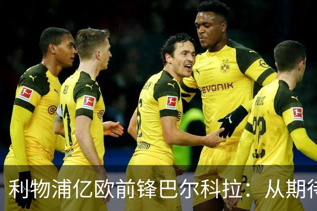 利物浦亿欧前锋巴尔科拉：从期待到失落的尴尬之路